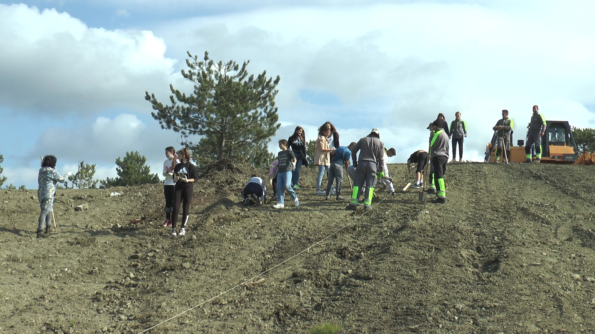 Пошумљавање