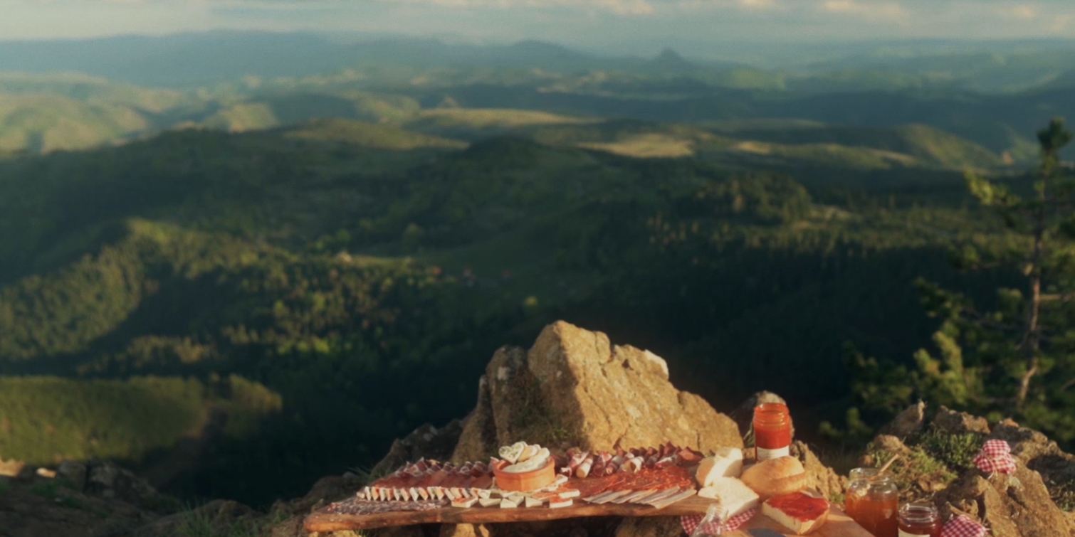 пројекат подршке