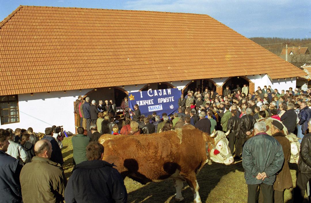 најава прсутијаде