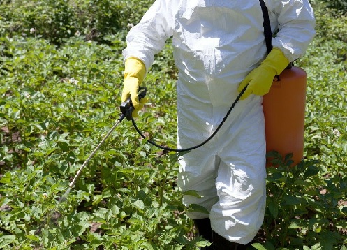 заштита биља