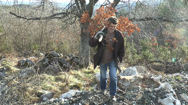 Бадњак Бадњак