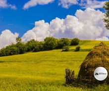 Пољопривредно земљиште оглас