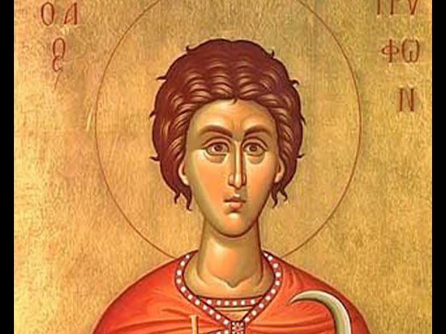 свети Трифун