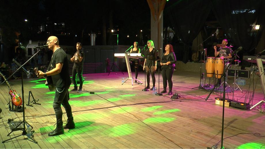 Концерт Николе Николића