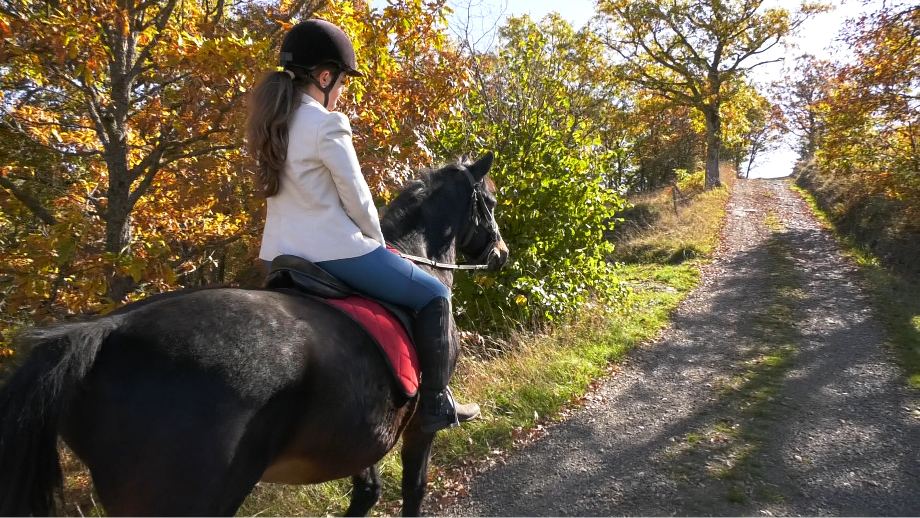 Тара Милинковић