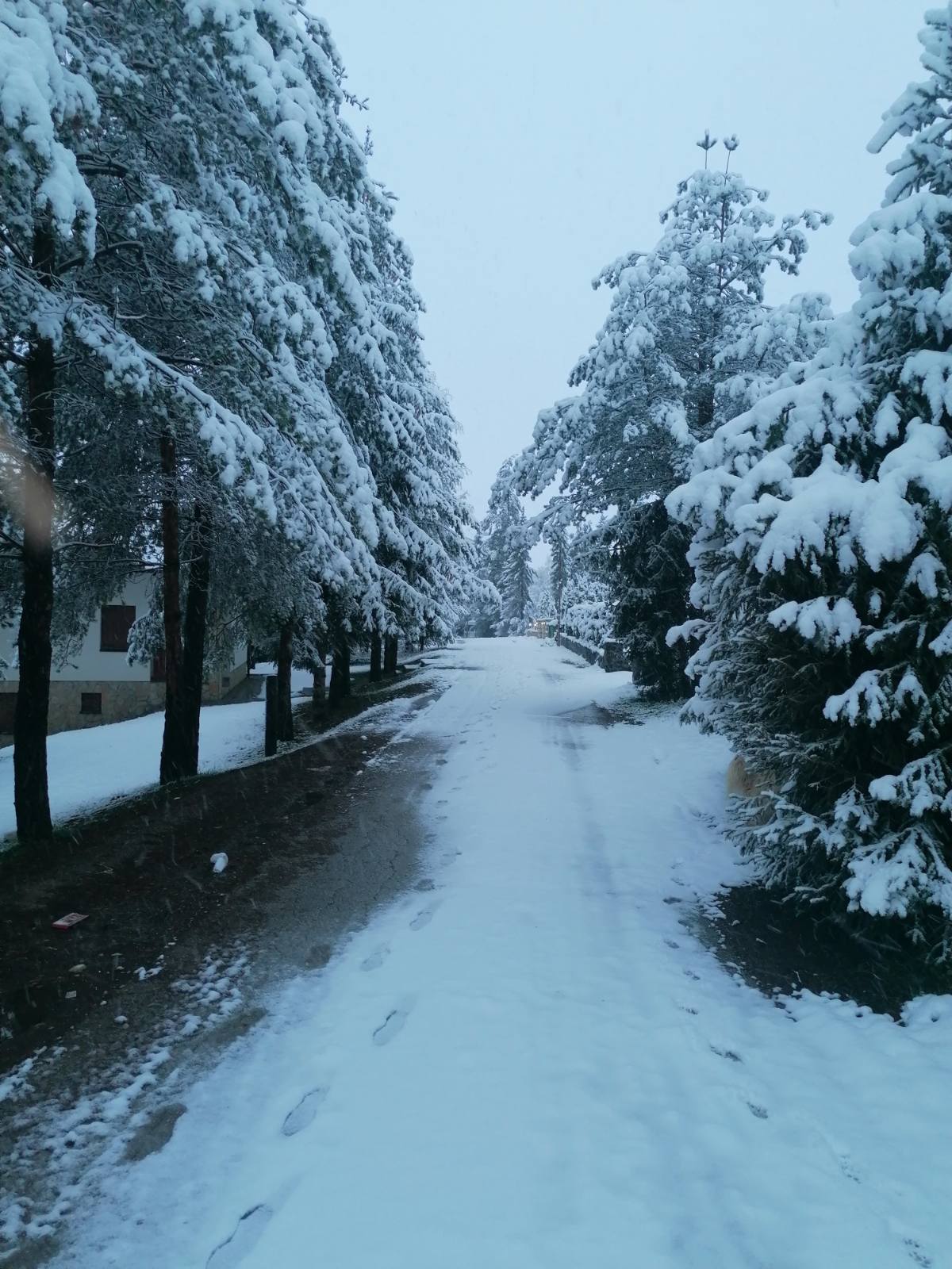 први снег снег