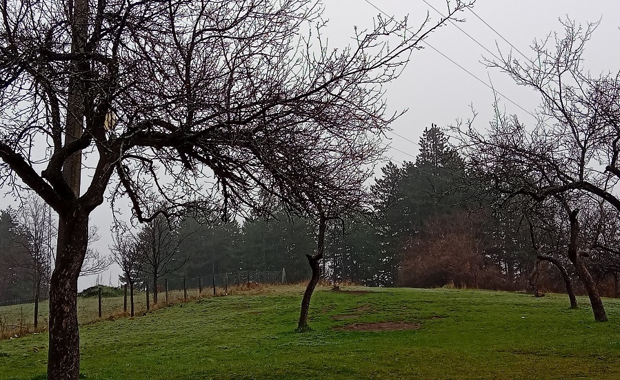 Кишан дан - илустрација вести