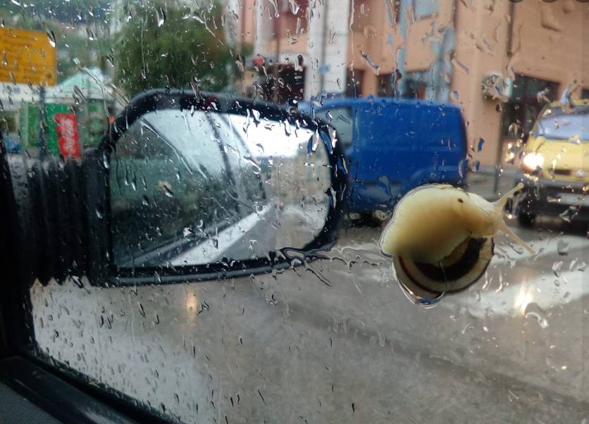 Мокри коловози, отежани услови вожње Мокри коловози, отежани услови вожње
