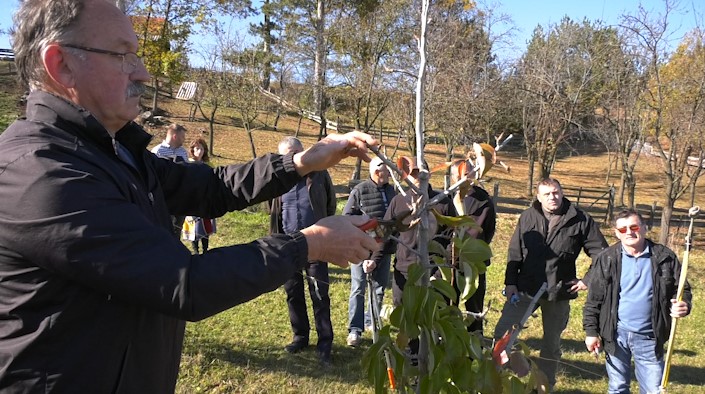 субвенције воће воће