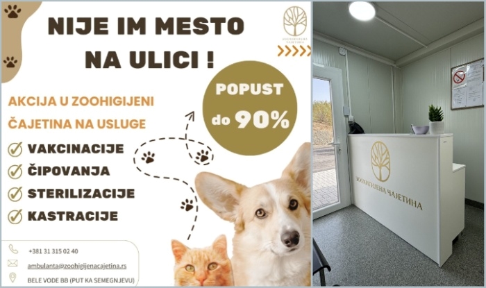 флајер зоохигијена