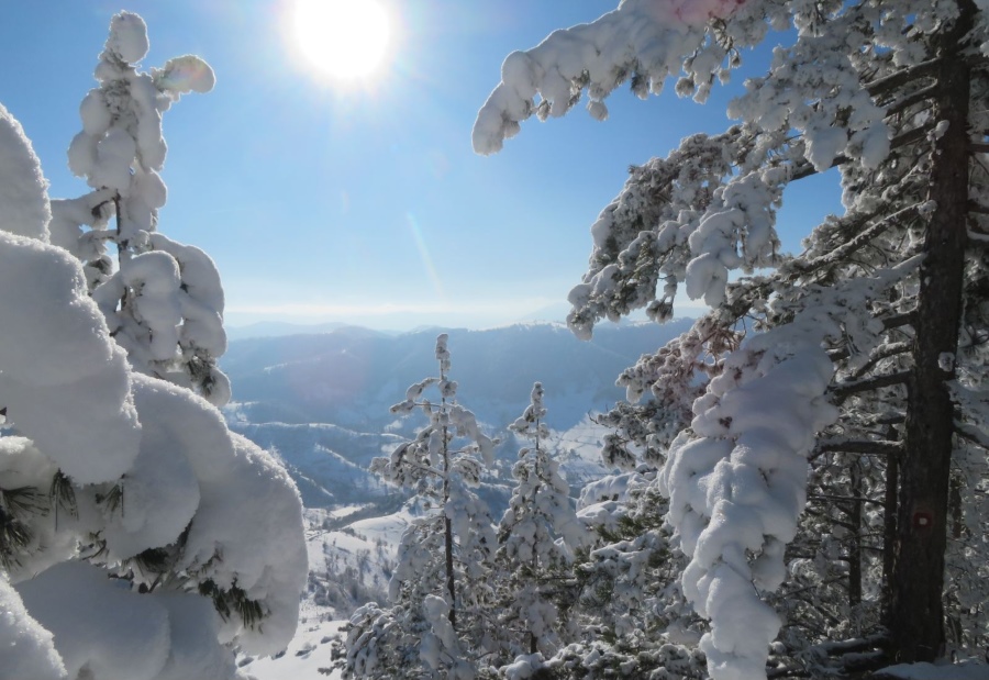Биоскоп Културног центра „Златибор” расписује поетски конкурс на тему Божићно јутро