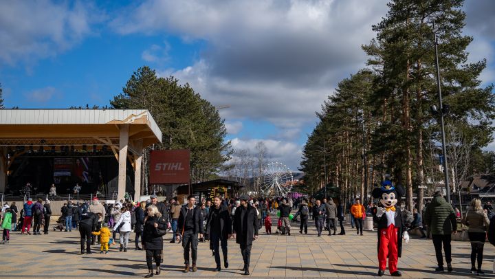 тоз н.година