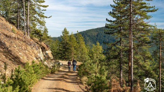 пешачке стазе