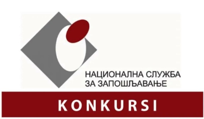 nsz logo
