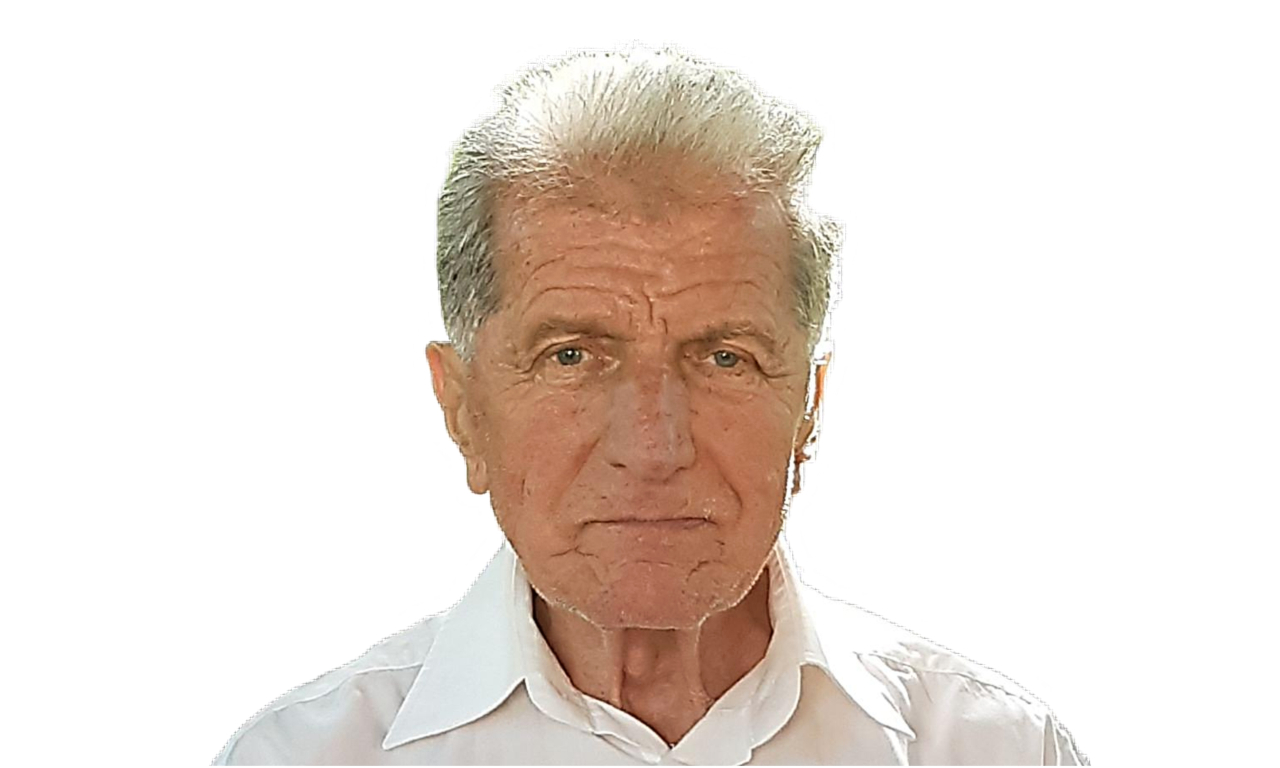 Milosav Radibrativic foto