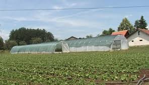 пољопривреда