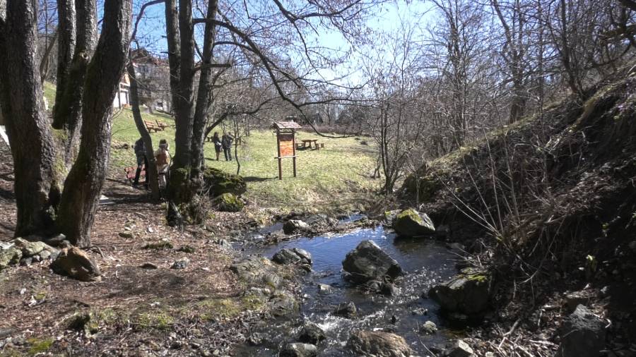 dan šuma park prirode