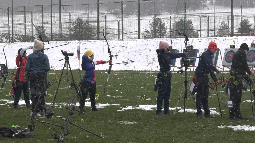 Стреличари на Швајцарији