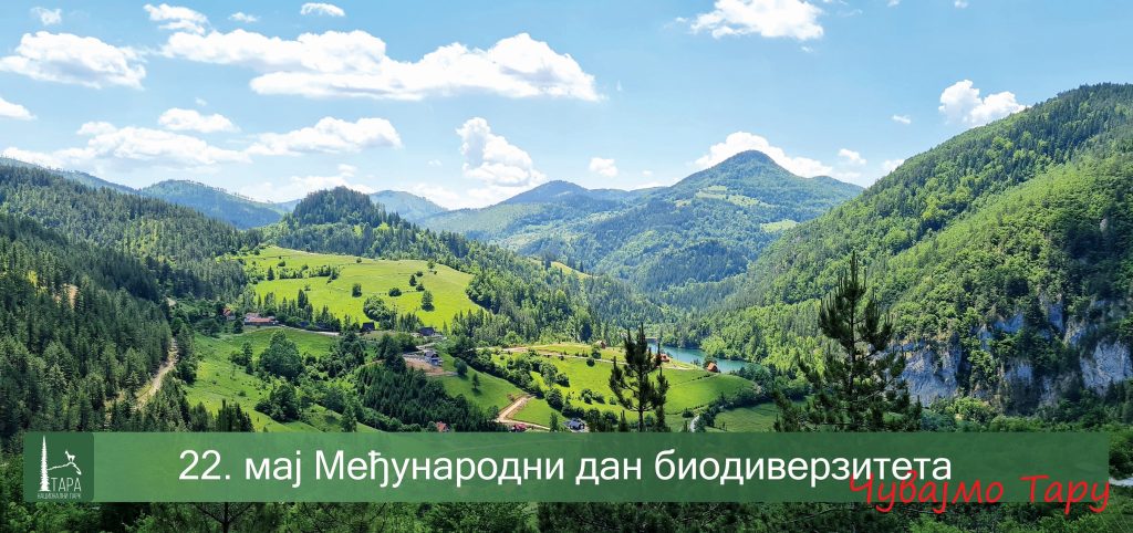 EDJUNARODNI-DAN-BIODIVERZITETA