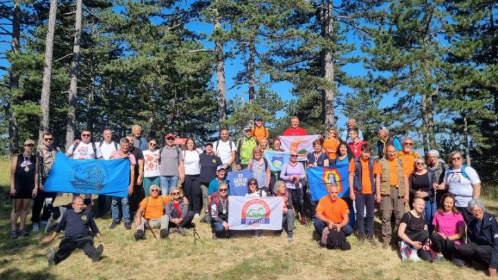 tablet_1148175066503972