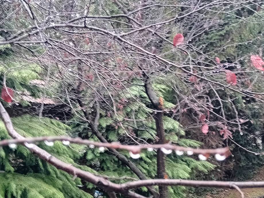 Падавине и ниске температуре упозоравају на додатни опрез возача