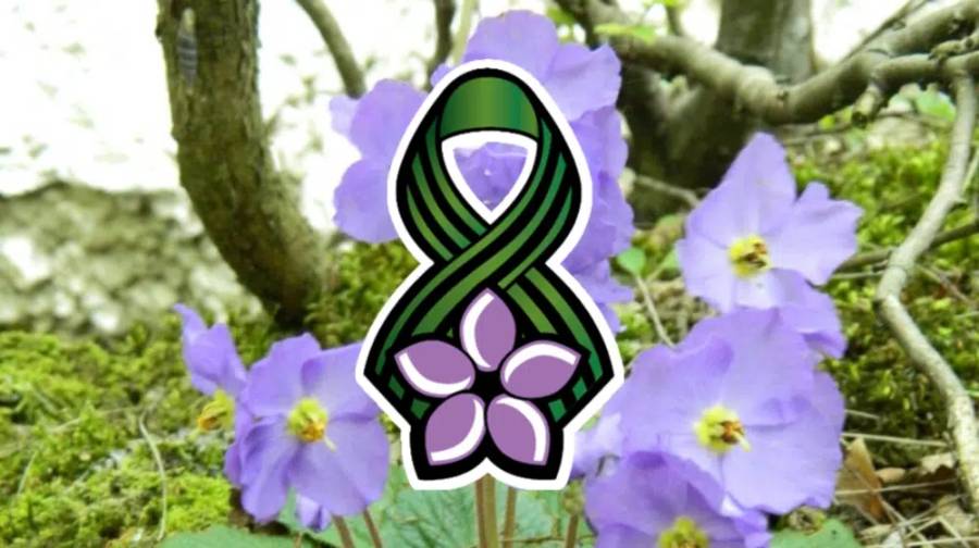 Дан примирја у Првом светском  рату у уторак 11. новембра