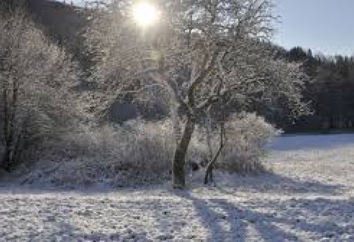 Метеоролог 