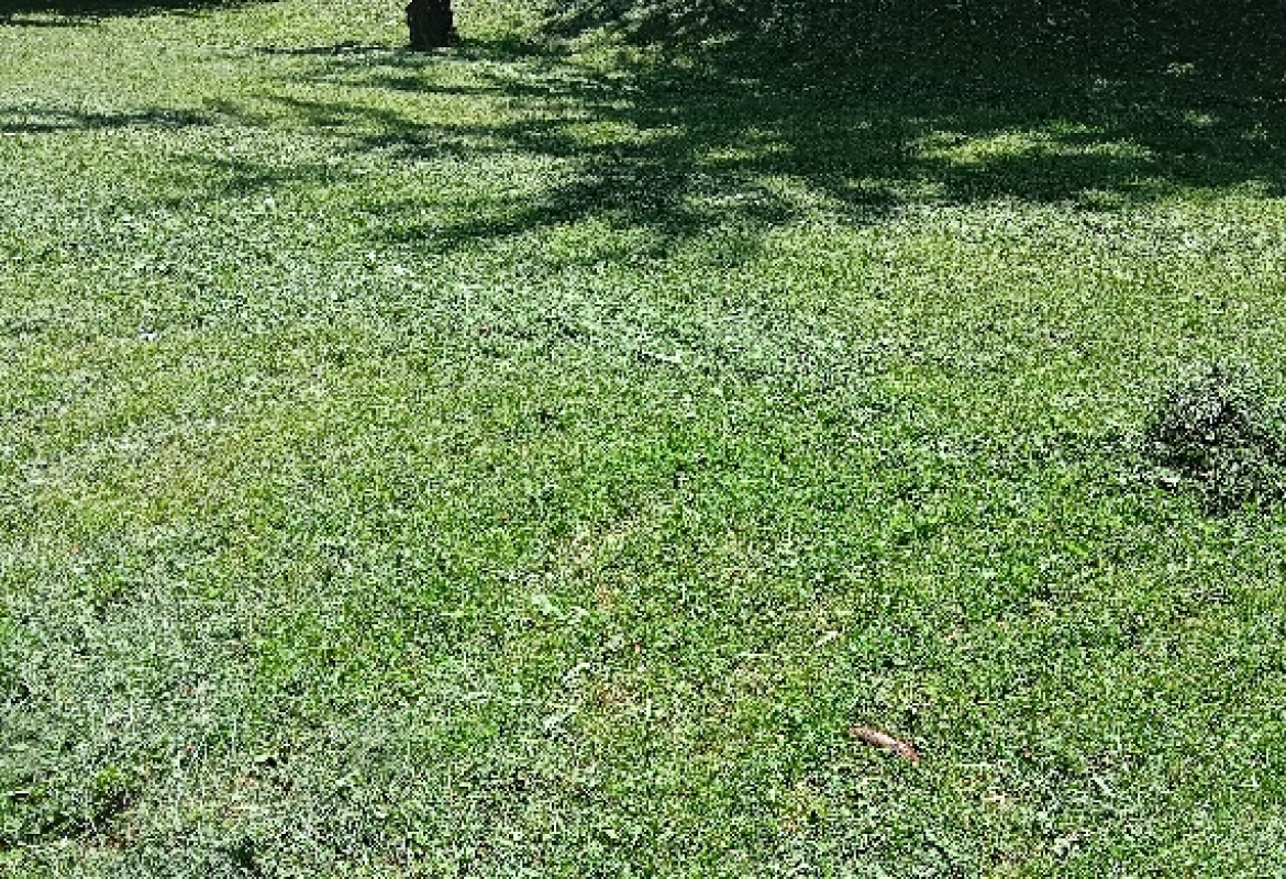 Покошена ливада