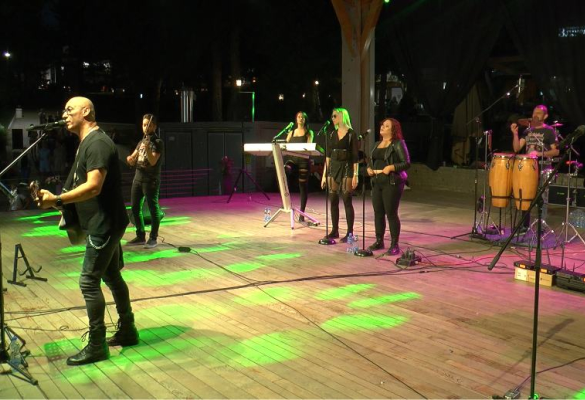 Концерт Николе Николића