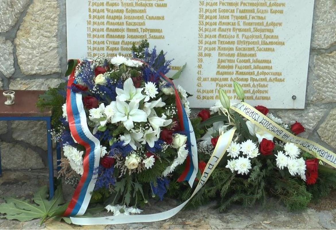 Годишњица битке на Цигли 