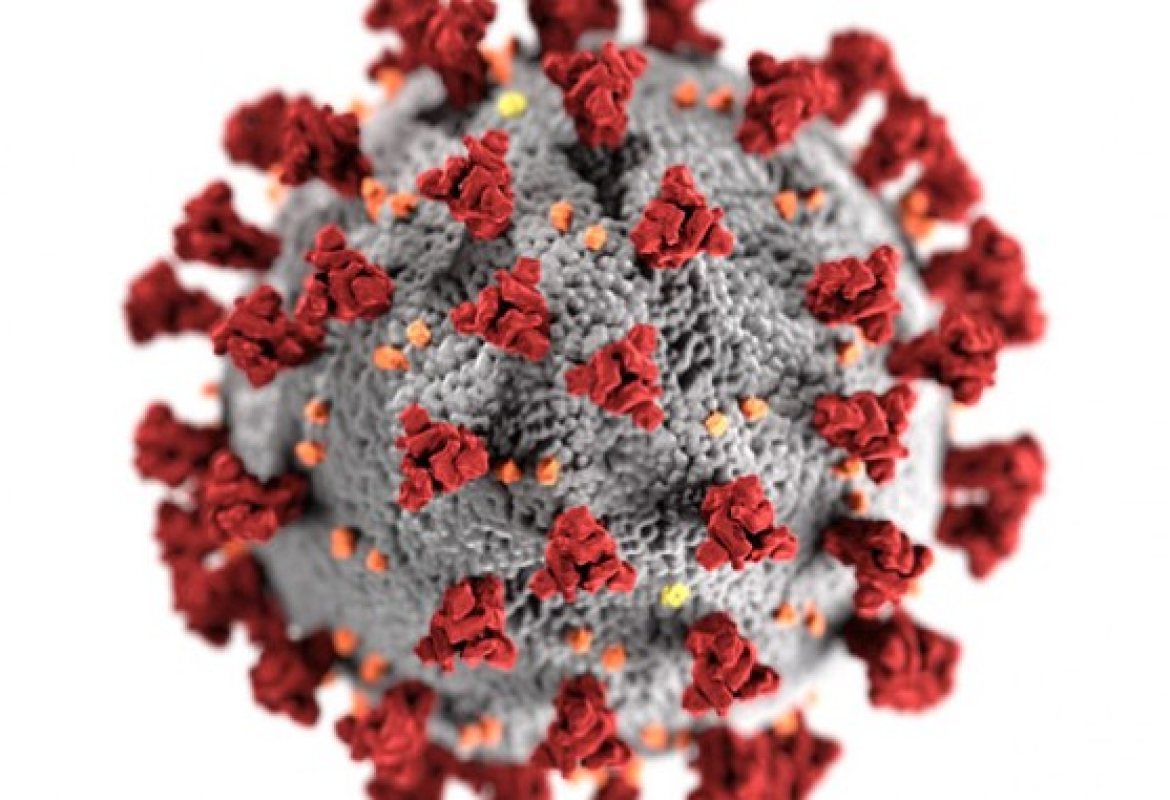 COVID-19, илустрација 