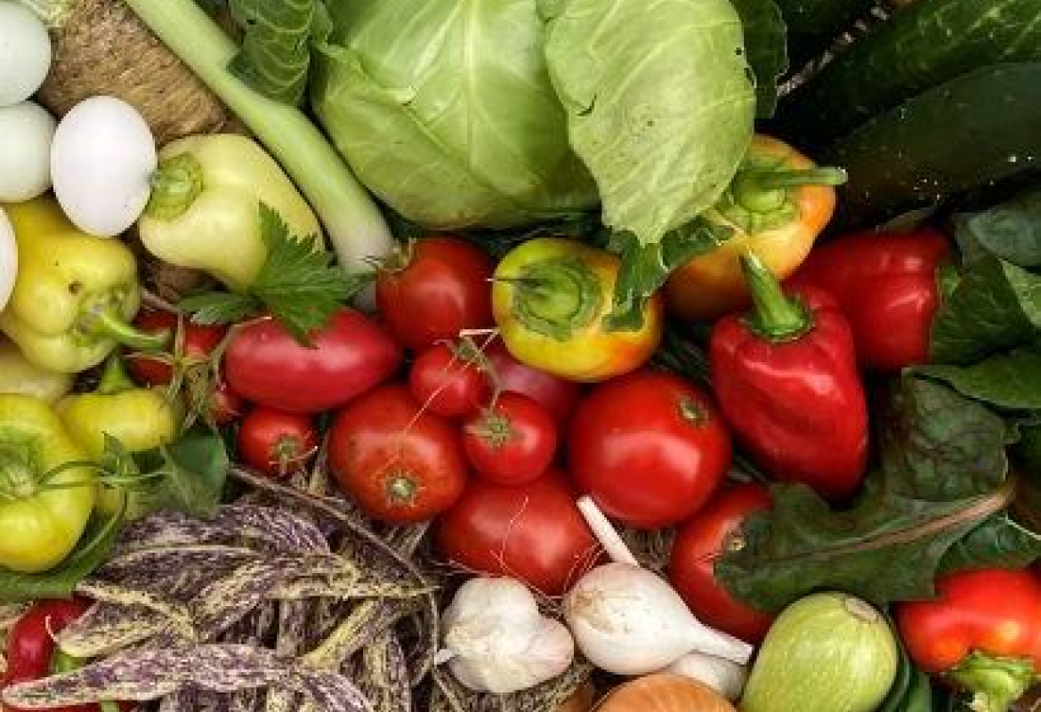 Подношење захтева за подстицаје у органској производњи до 6. септембра