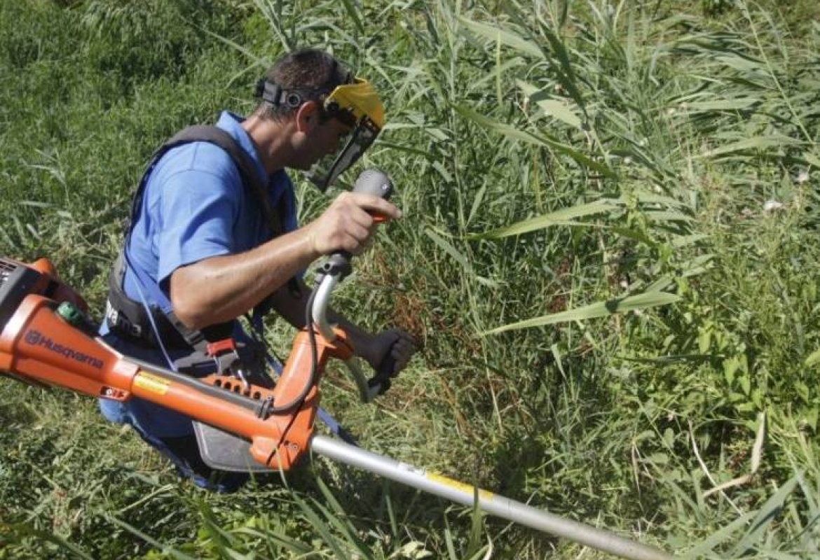 Илустрација вести 