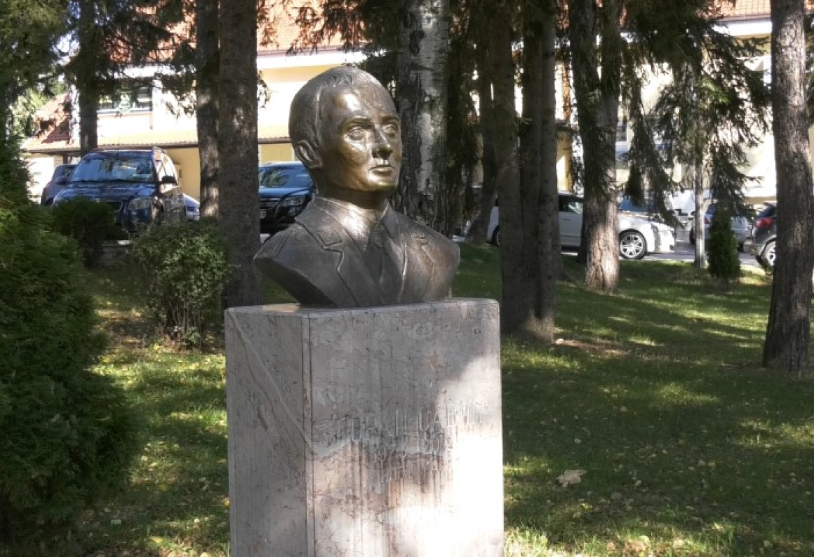 Биста пилоту мајору Савићу у Чајетини