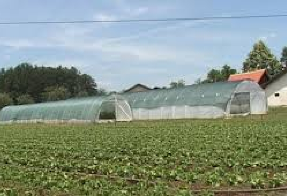 пољопривреда