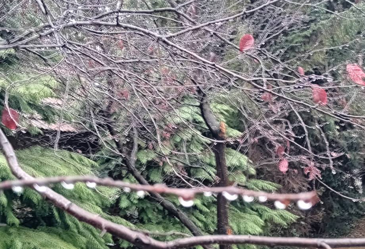 Падавине и ниске температуре упозоравају на додатни опрез возача