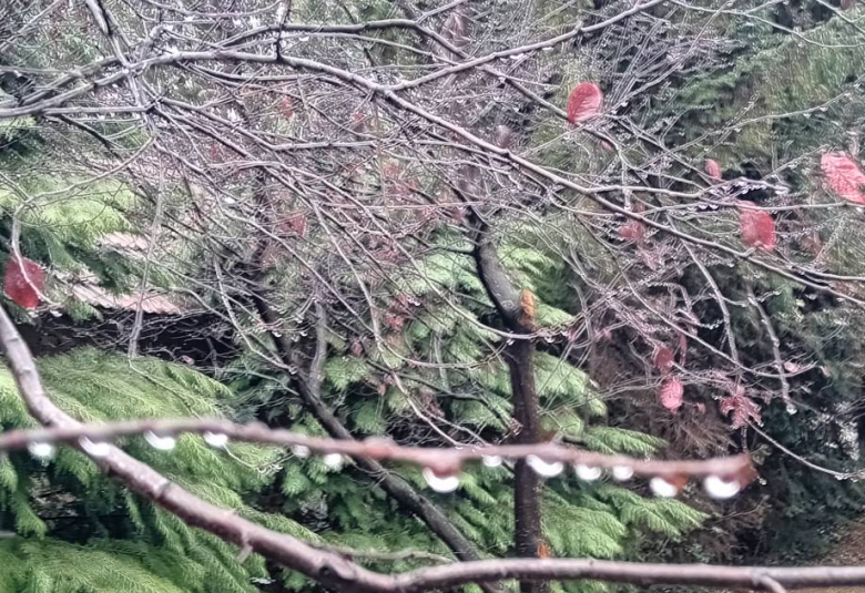 Падавине и ниске температуре упозоравају на додатни опрез возача